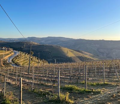 View from camper at Quinta dos Espinheiros overlooking a valley in the Duoro region